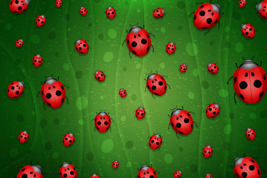 1585569 (a): :2000x1333
